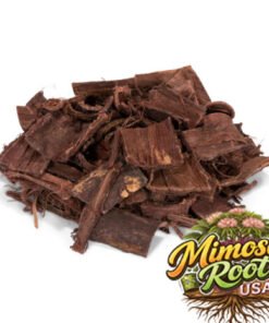 Brazilian Mimosa Hostilis Inner Root Bark (Whole) – Premium MHRB for Sale | Ethically Sourced from Brazil