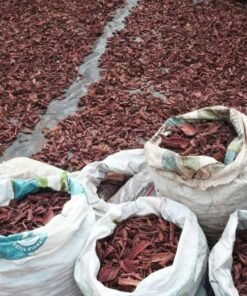 Mexican Mimosa Hostilis Root Bark (MHRB) – Premium Quality