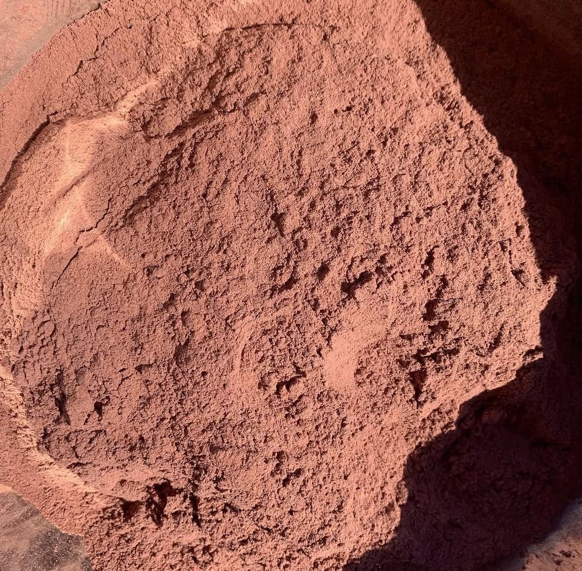 Mimosa Hostilis Inner Root Bark Powder | Premium IRB for Sale