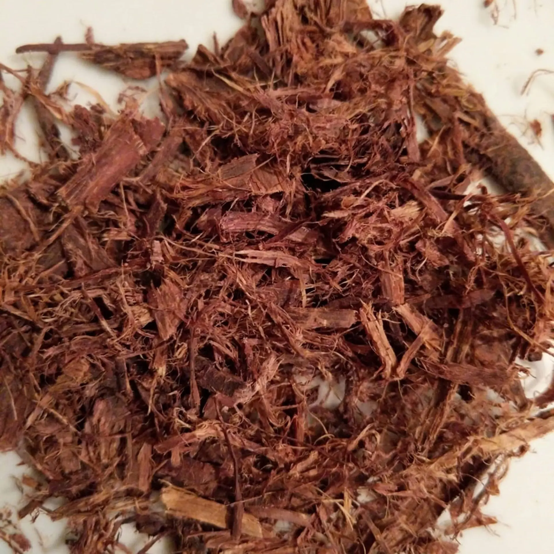 Shredded Mexican Mimosa Hostilis Inner Root Bark (MHRB) – Premium Quality